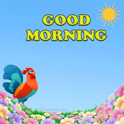 good morning gifs|good morning gif free download.